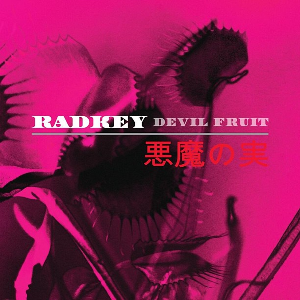 radkey devil fruit